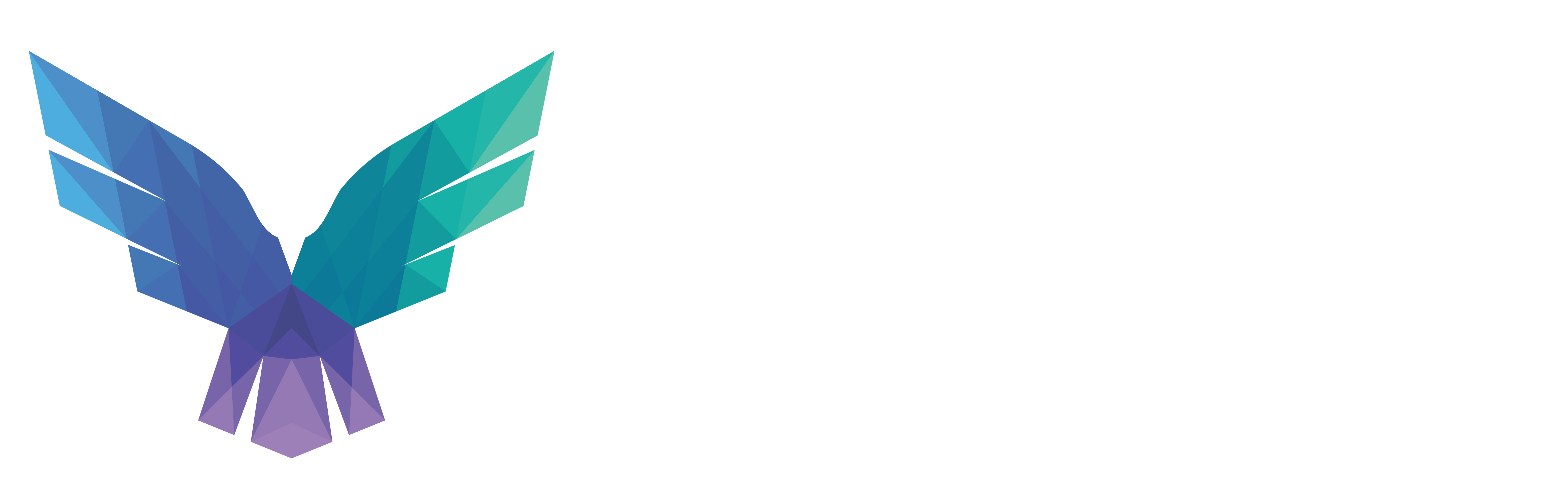 FalconForce
