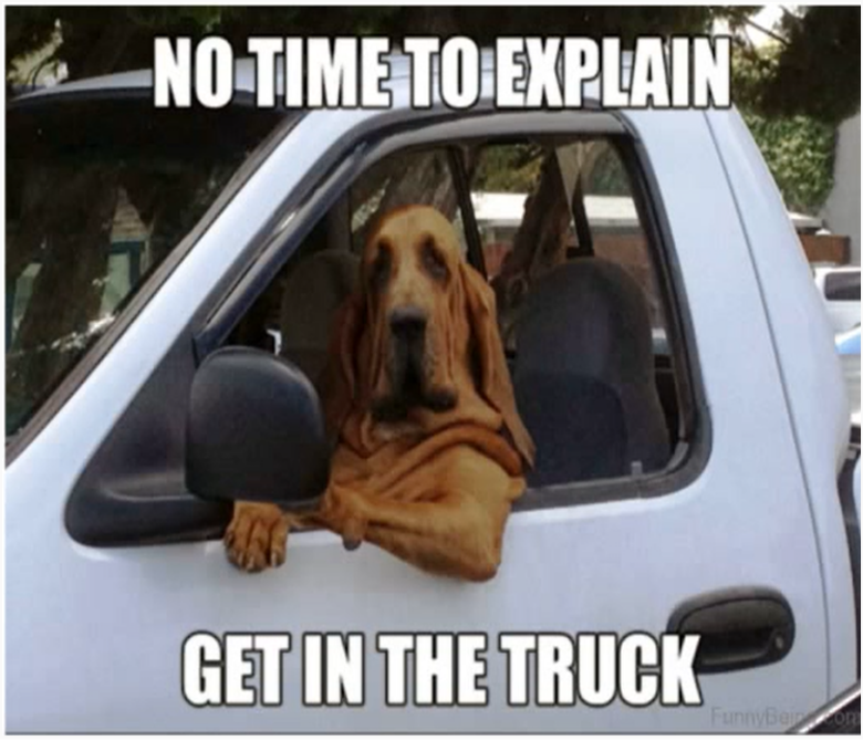 No time to explain. Get in the truck.
