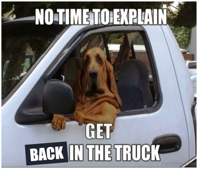 No time to explain. Get in back the truck.